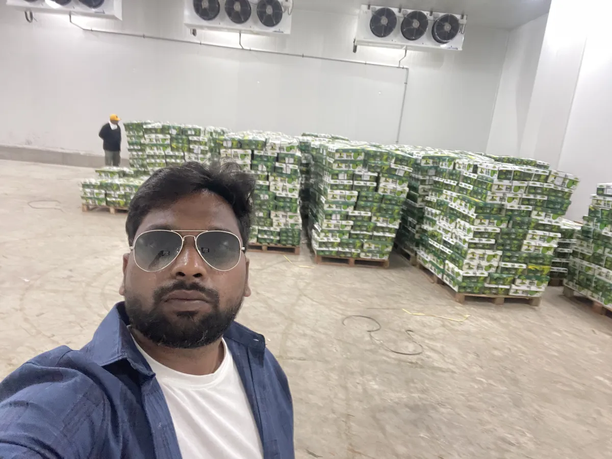 Our First Container to Dubai: Farm-Fresh Green Chillies, Cold Chain Unbroken