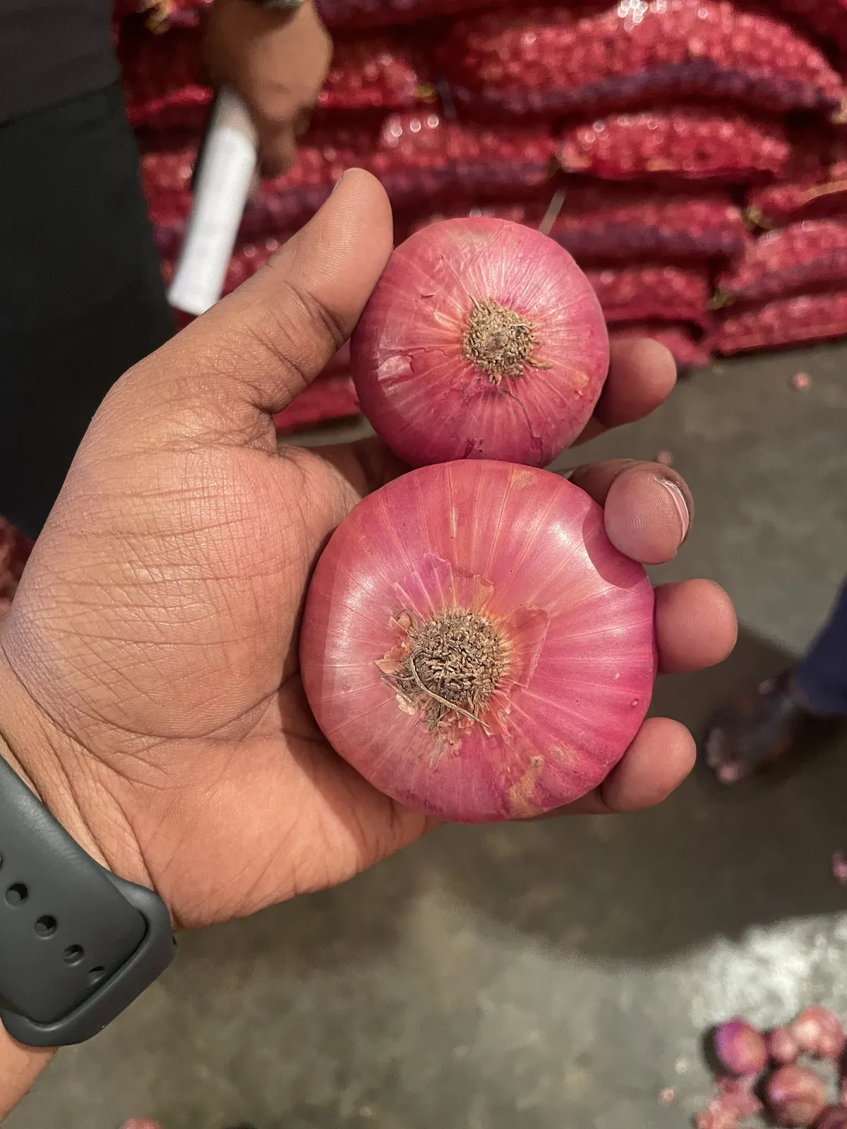 Indian red onions in hand at a Pettah Market onion store with sacks stacked behind